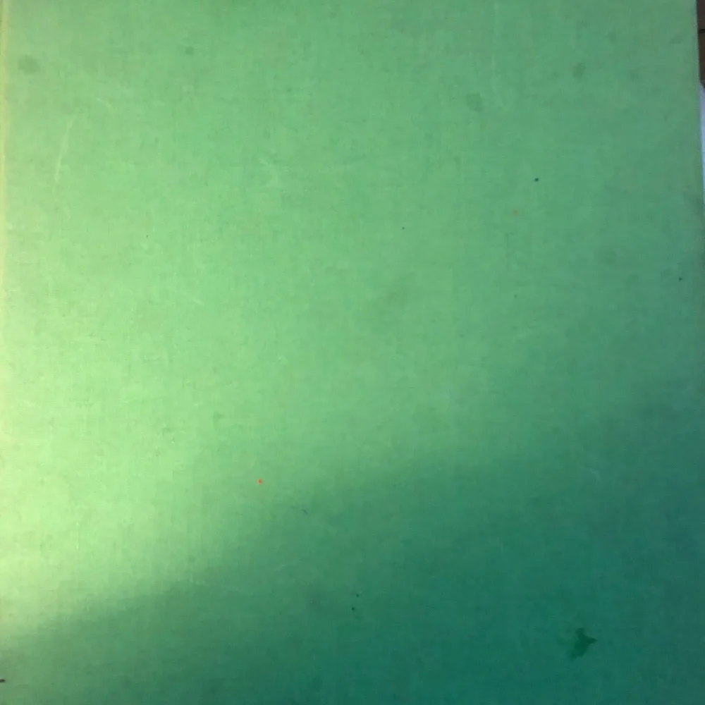“The Amazing Bone” vintage book by William Steig